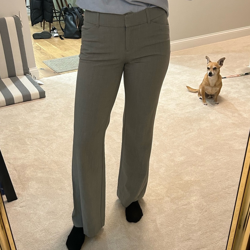 Grey Flare Business Slacks | New York & Company